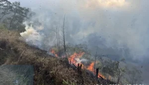 Kebakaran Bromo Meluas, BNPB Tambah Helikopter Water Bombing