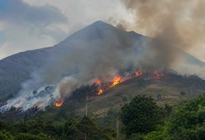 Kebakaran Gunung Soputan Meluas, 200 Hektare Lebih Terbakar