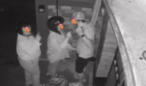 Viral Pria Bule dan 2 Wanita di Canggu Diduga Berbuat Asusila di Garasi Rumah Warga